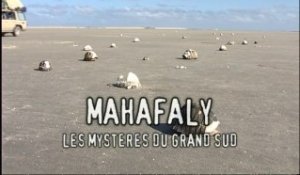 Latitude Malgache - Mahafaly. Dernier refuge d'un géant - Madagascar
