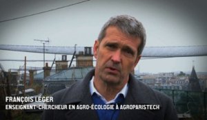 L'agro-écologie vue par un enseignant d'AgroParisTech