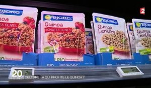 Culture : à qui profite le quinoa?