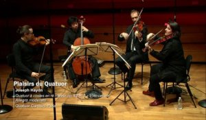 Haydn :  Quatuor à cordes en ré majeur op. 64 n° 5 « L’Alouette » Allegro moderato - Quatuor Cambini