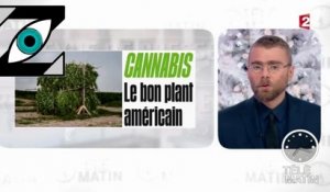 [Zap Télé] Télématin pour la légalisation du cannabis (29/12/16)