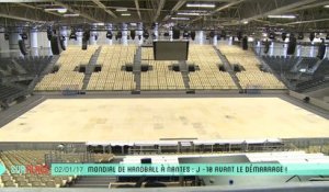 Sur Place au Mondial de Handball à Nantes (2/2)