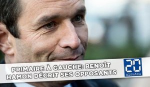 Primaire à gauche: Benoît Hamon décrit ses opposants