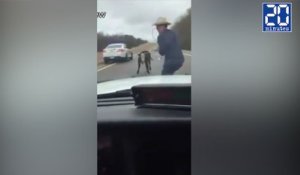 Il attrape une vache au lasso sur l'autoroute ! - Le rewind du lundi 09 janvier 2017