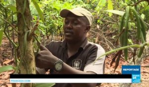 Madagascar: le cacao chic aux marges choc