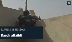 L'est de Mossoul presque conquis par les forces irakiennes