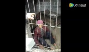 Une femme de 92 ans enfermée dans une porcherie par son fils et sa belle-fille