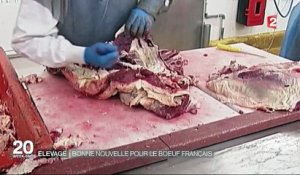 Agriculture : le bœuf français autorisé aux États-Unis