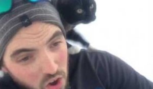 Un chat adore faire de la luge avec son maître !