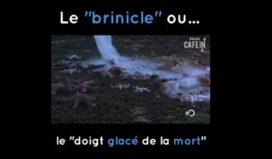 Le brinicle ou le "doigt glacé de la mort"