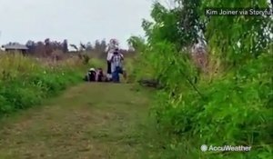 Un alligator géant a surpris les visiteurs d'une réserve naturelle en Floride