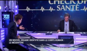 Un nouvel organe identifié dans le corps humain : Le mésentère - 07/01