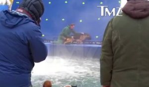 Un dresseur force son chien à sauter dans des eaux turbulentes pour tourner une scène de film...