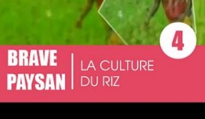 Brave Paysan /  La culture du riz (1ere partie)