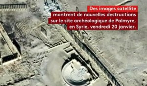 Syrie : nouvelles destructions sur le site antique de Palmyre