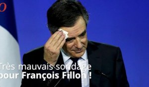 François Fillon : le sondage qui fait mal...