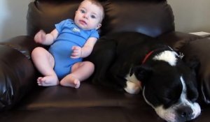 Assis à côté du bébé, le chien prend la tangente dès qu'il petit lui pète dessus !