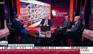Les livres de la dernière minute: Cour des Comptes, Mouvement Utopia et Consult'in France – 01/02