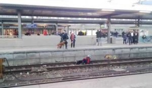 Un chien policier fait tomber sur femme sur la voie ferrée !