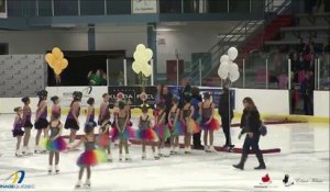 Championnats régionaux de patinage synchronisé 2017 de la section Québec - Centre Eugène-Lalonde (81)