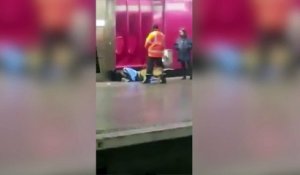 La RATP réveille un SDF en l’agressant avec un chien