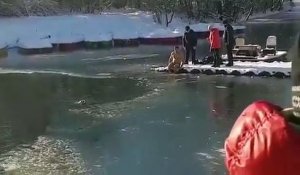 Ce héro plonge dans ce lac gelé pour sauver un chien