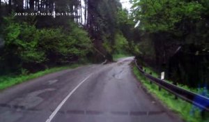 des arbres s'effrondrent sur une voiture en LIVE