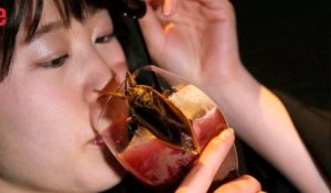 Saint-Valentin: ils célèbrent l'amour en mangeant des insectes