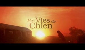 MES VIES DE CHIEN - Bande annonce - VOST