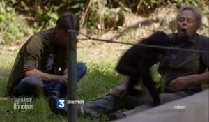 Muriel Robin et Chanee sur la terre des bonobos (Teaser 3)