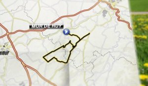 Parcours / Route - La Flèche Wallonne Femmes 2017