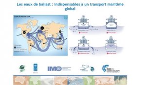 GloBallast : la mise en place d'une convention contre le transfert d'espèces invasives via les eaux de ballast