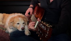 Ce chien est tellement posé contre la guitare ! Reprise de NIN dans le style Johnny Cash