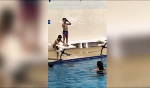 Son premier plongeon... Même pas peur!