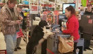 Un chien fait ses courses