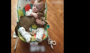 Un bébé fait de gros câlin à un chat !