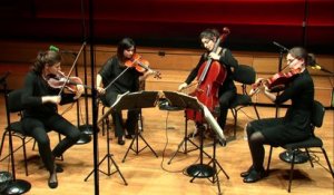 Beethoven : Quatuor à cordes n° 8 en mi mineur op. 59 n° 2 Molto adagio - Quatuor Akilone -