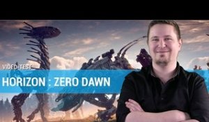 HORIZON ZERO DAWN - L'un des meilleurs OPEN WORLD de ces dernières années