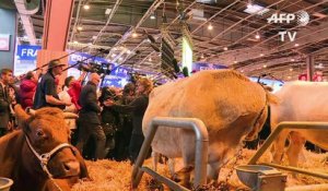 Macron réagit à l'affaire Fillon au salon de l'agriculture