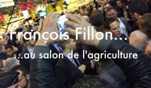 François Fillon au Salon de l'agriculture