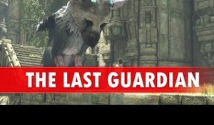 The Last Guardian - GAMEPLAY