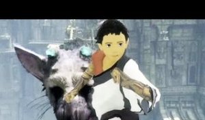 THE LAST GUARDIAN : déception ou chef d'oeuvre ?