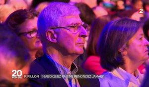 François Fillon : en meeting, le candidat relance son programme politique