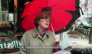 Manifestation pro-Fillon au Trocadéro : les Républicains sont divisés