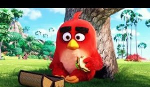 ANGRY BIRDS Le Film Bande Annonce VF (2016)