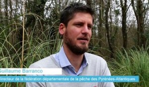 Guillaume Barranco, directeur de la fédération de la pêche des Pyrénées-Atlantiques