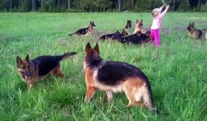 Cette fille a 14 chiens ! Et elle s'éclate à jouer avec eux ! EXCELLENT !