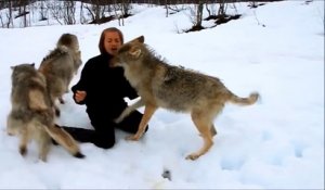 Une belle histoire d'amitié entre une femme et des loups sauvages !