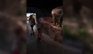 Elle va avoir la peur de sa vie dans un parc de dinosaures