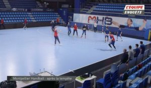 Handball - L'Équipe Enquête : Montpellier Handball, après la tempête